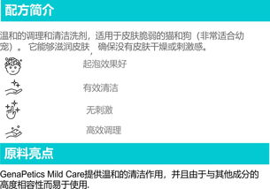 宠物护理产品开发的二三事 从理念到软件的融合之旅